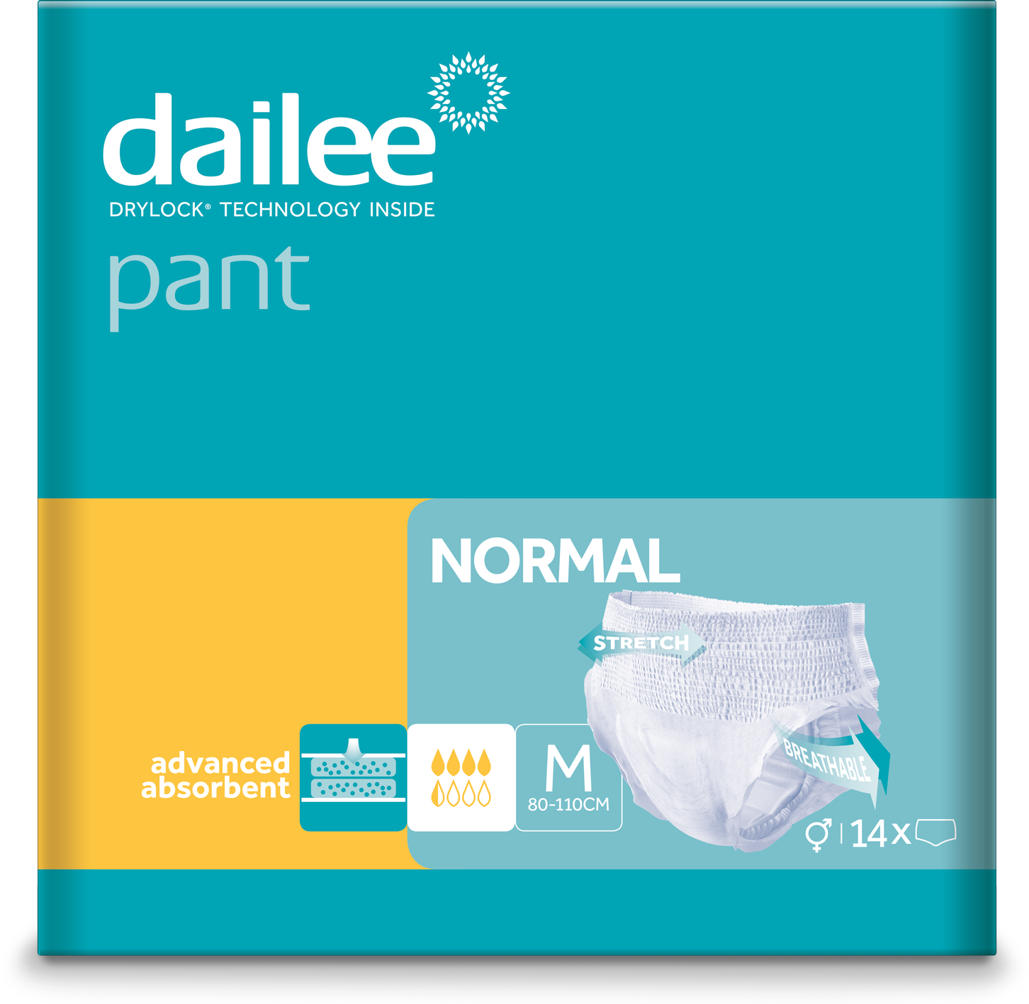 dailee pant normal